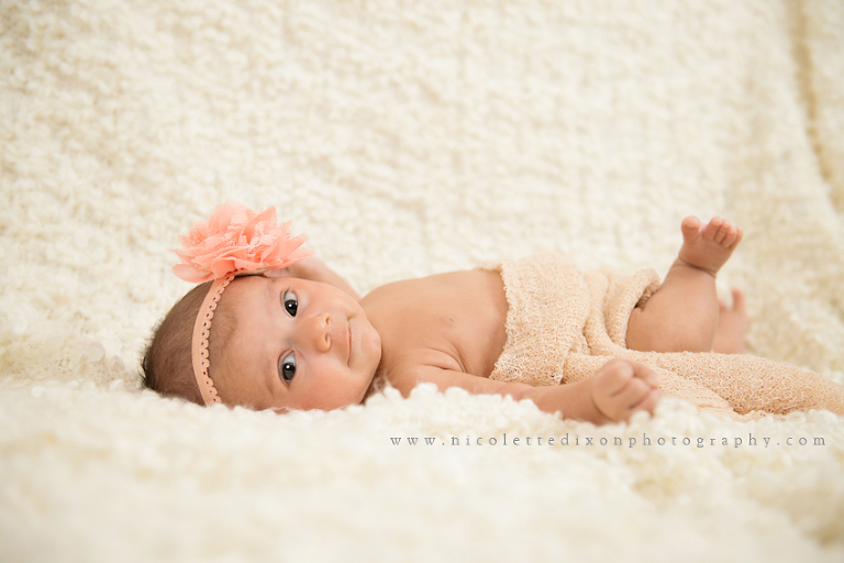 Pittsburgh Newborn Photographer