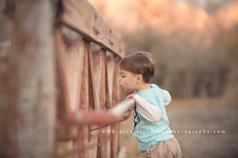 Pittsburgh Family Photographer