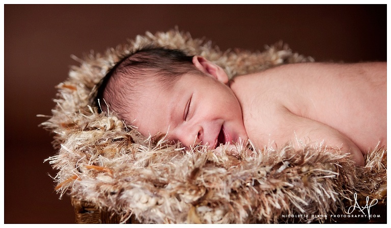 Pittsburgh Newborn Photographer