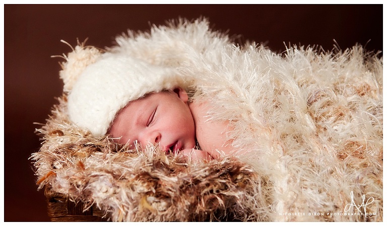 Pittsburgh Newborn Photographer