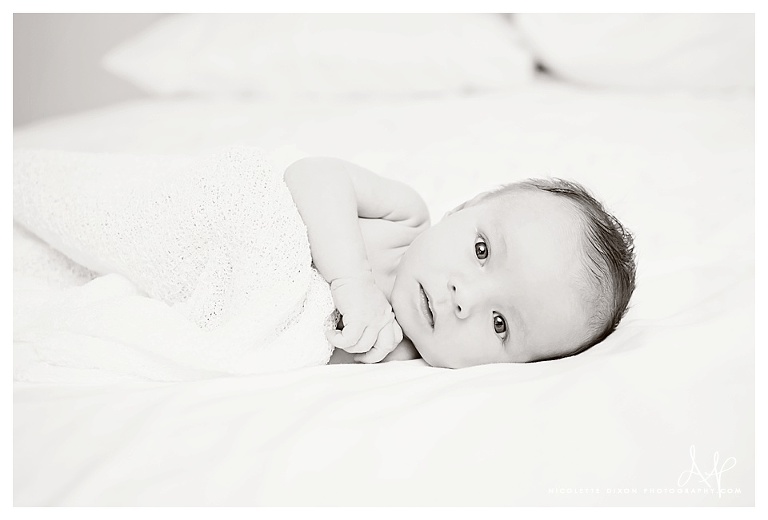 Sewickley Newborn Photographer