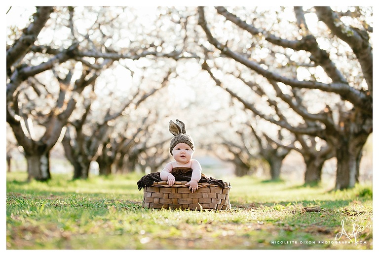 Sewickley baby Photographer