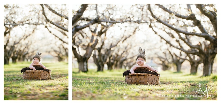 Sewickley baby Photographer