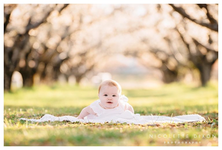 Moon Township Baby Photographer