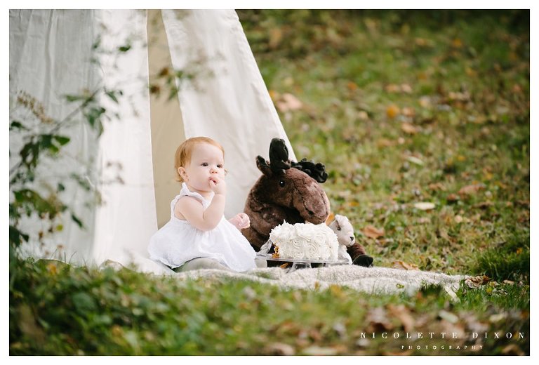 Moon Township baby Photographer