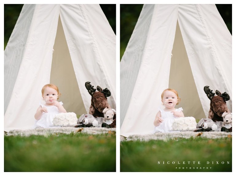 Moon Township baby Photographer