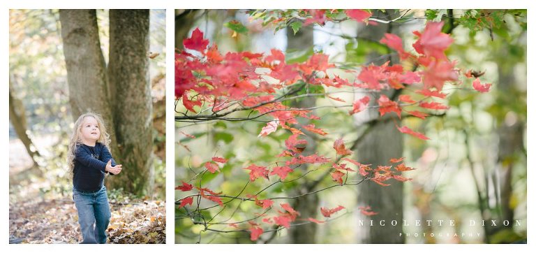 Pittsburgh Family Photographer