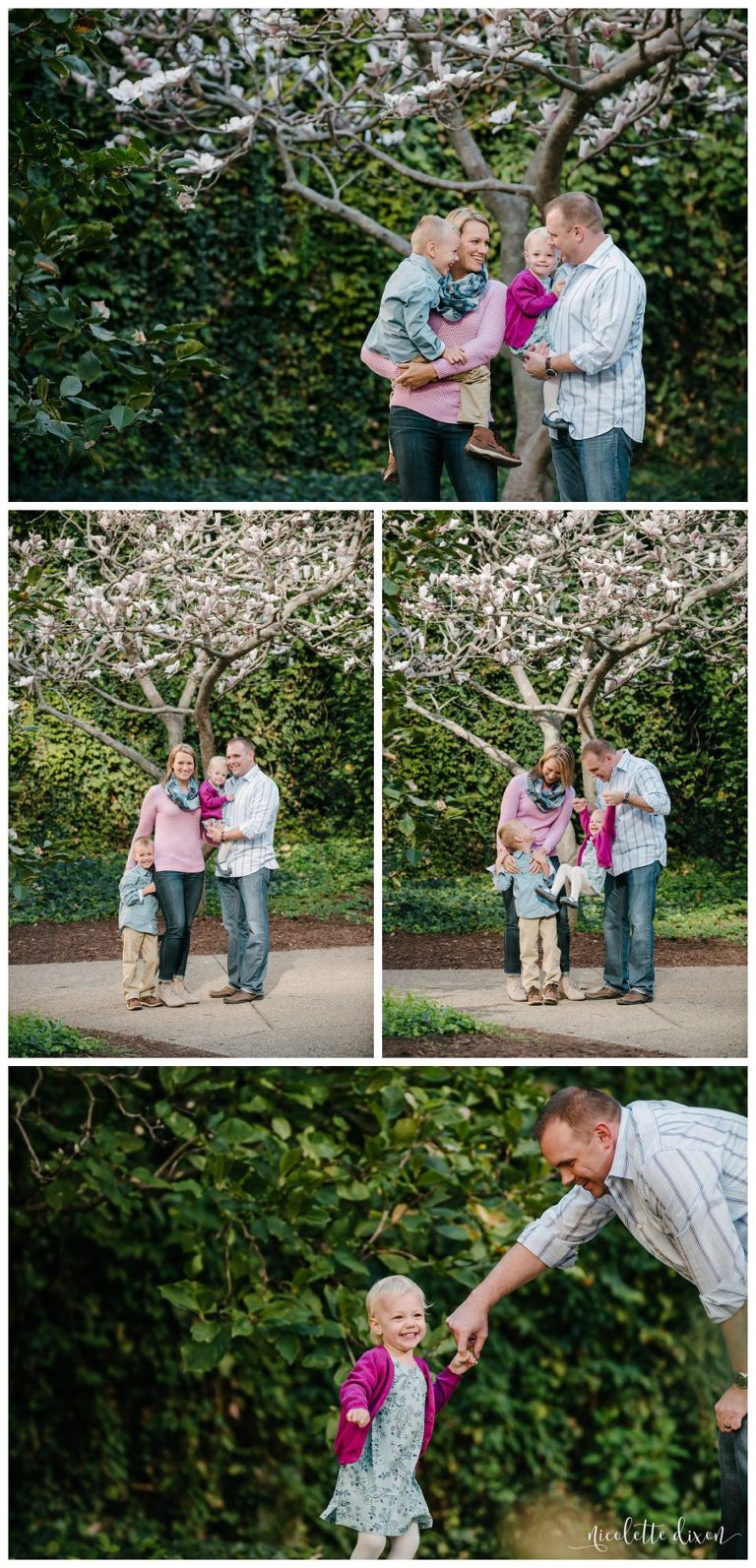 Pittsburgh Family Photographer