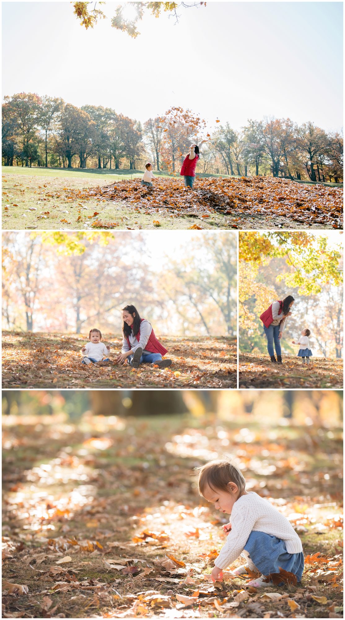 Pittsburgh Family Photographer