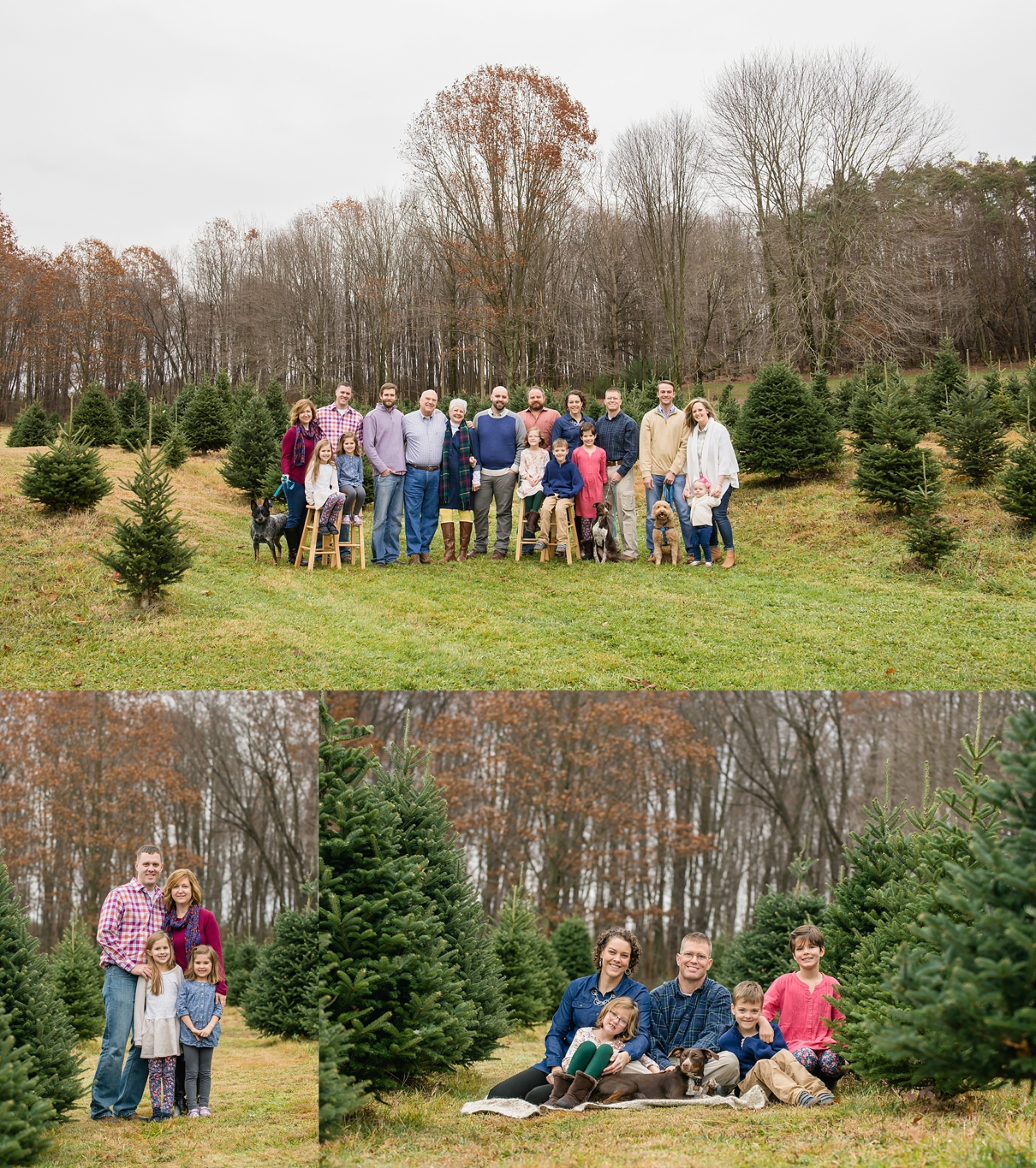 Pittsburgh Family Photographer