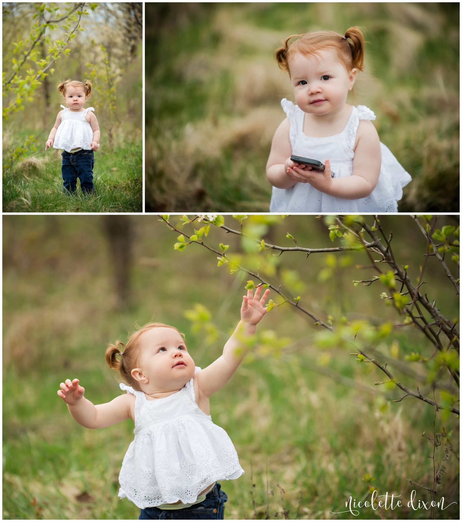 Pittsburgh Family Photographer