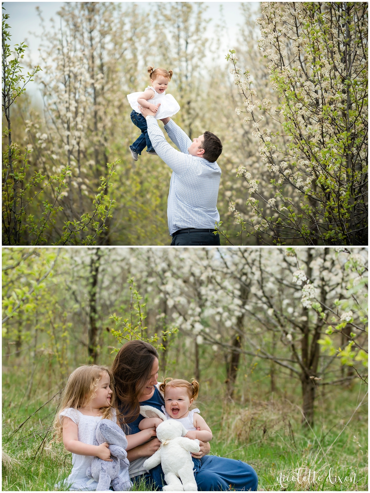 Pittsburgh Family Photographer