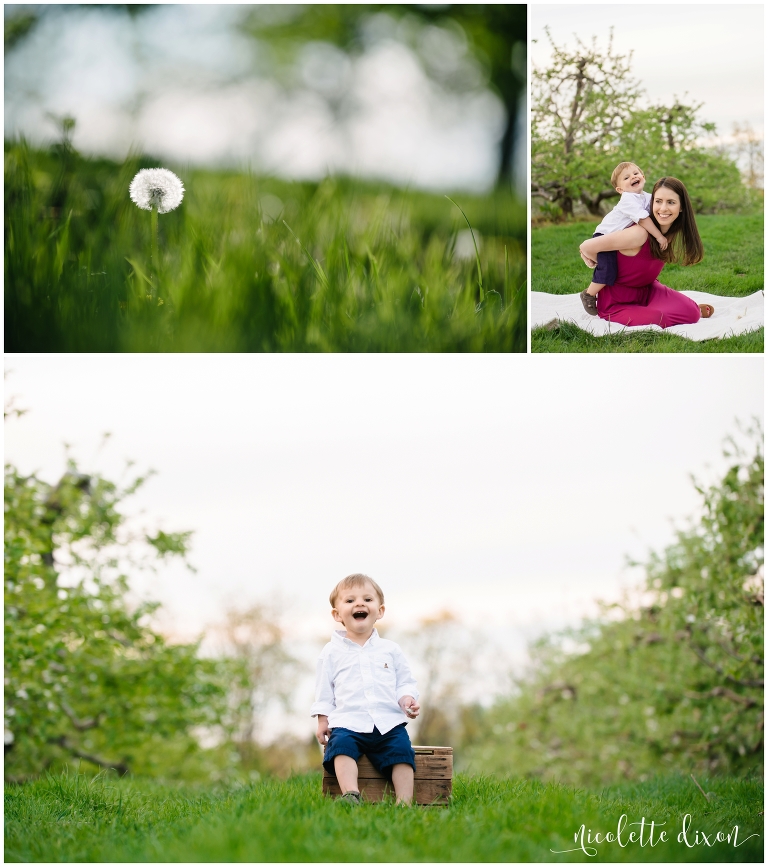 Mother and Son Playing in Apple Orchard Near Pittsburgh