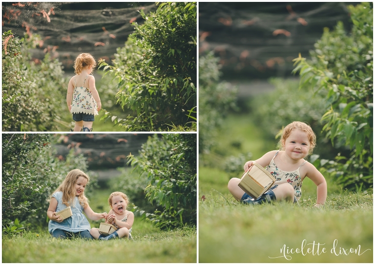 Girls sitting in blueberry patch at Soergel Orchards near Pittsburgh