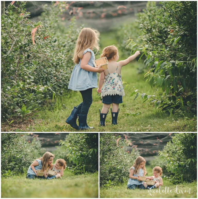 Girls picking blueberries at Soergel Orchards in Wexford near Pittsburgh