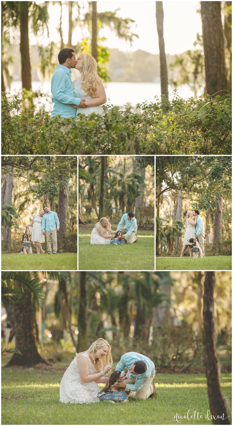 Bride and groom playing with their dog in a park