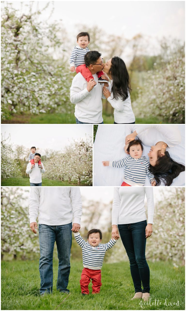 Baby boy sitting on dad's shoulders at Soergel Orchards in Wexford near Pittsburgh