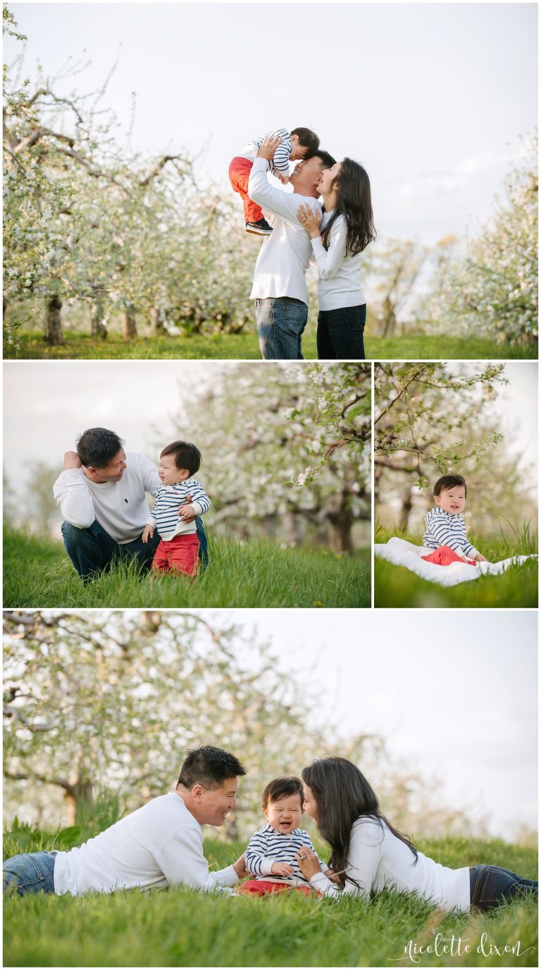 Dad holding up son at Soergel Orchards in Wexford near Pittsburgh