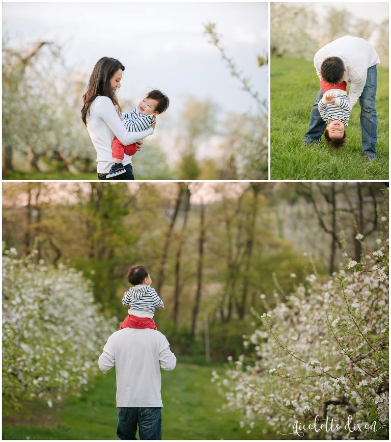 Mom and dad playing with son at Soergel Orchards in Wexford near Pittsburgh