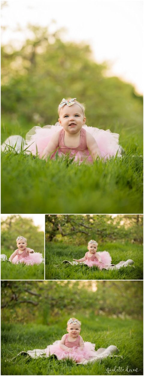 Baby girl wearing pink tutu plays in the grass in Soergel Orchards near Pittsburgh
