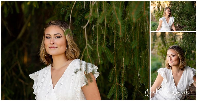 High School Senior Girl Standing in Evergreen Tree in Greensboro NC